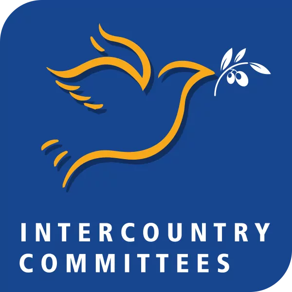 icc2025 logo color